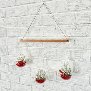 Pendant Hanger